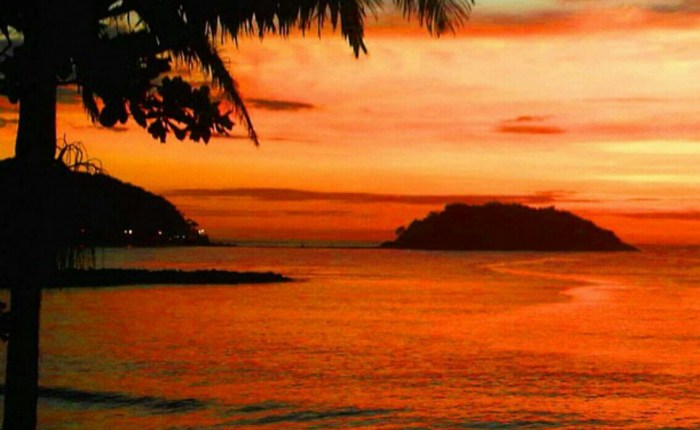 A vida: modo de&nbsp;usar