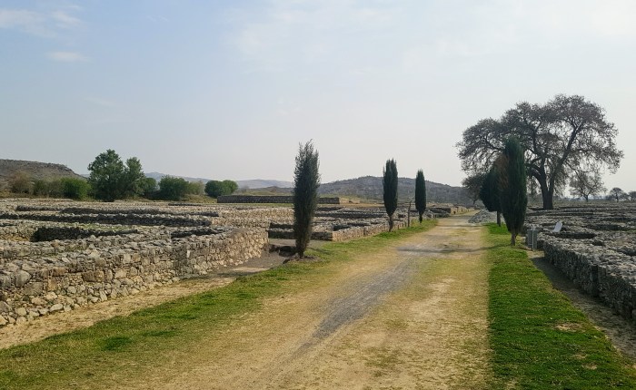 Alexandre, o Grande e os pássaros de&nbsp;Rawalpindi