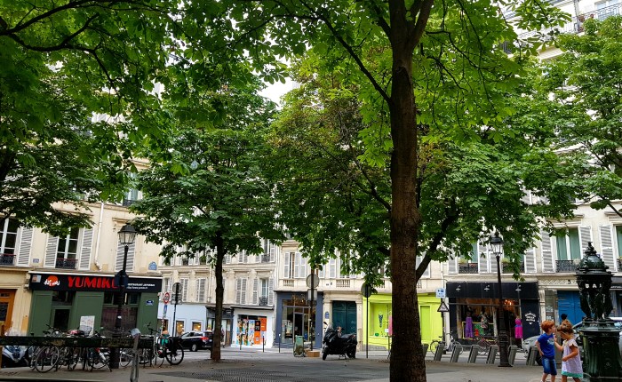 O dia em que vi o crânio de meu&nbsp;avô