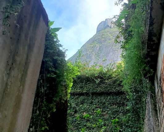 O General de Gaulle e o Príncipe&nbsp;Valente