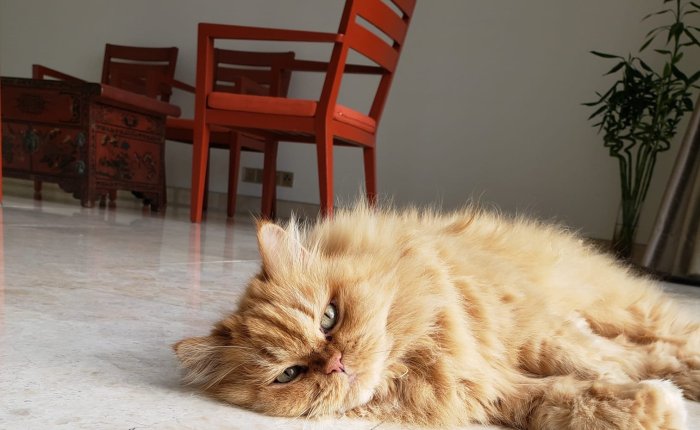 Kiki em Kuala&nbsp;Lumpur