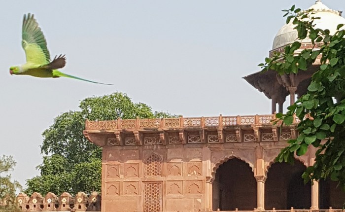 Álbum de fotos – Taj&nbsp;Mahal