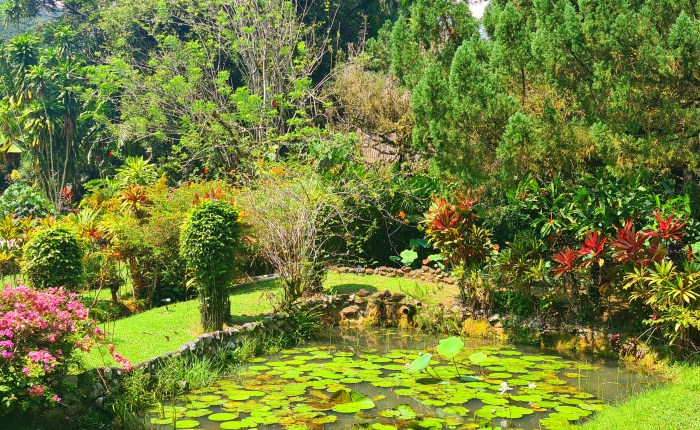 Além da aurora e do&nbsp;Ganges