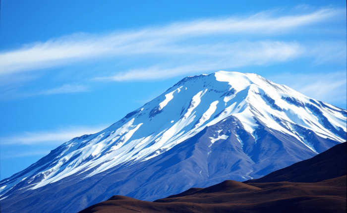 O delírio do&nbsp;Chimborazo